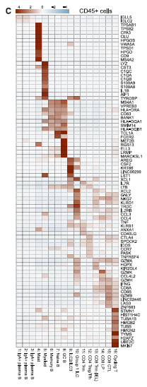 單細(xì)胞 RNA 測序