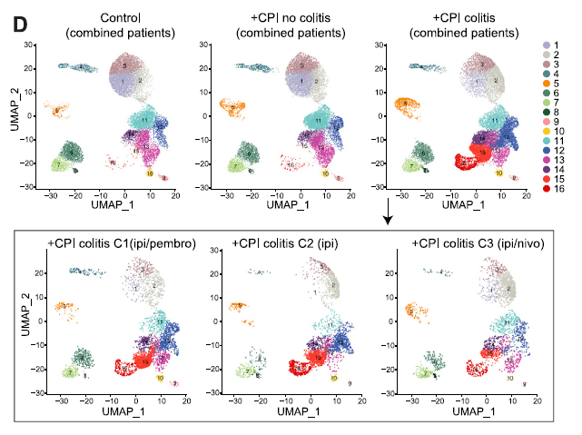 單細(xì)胞 RNA 測序