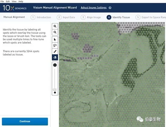  單細胞測序空間轉(zhuǎn)錄組分析軟件安裝圖示 11