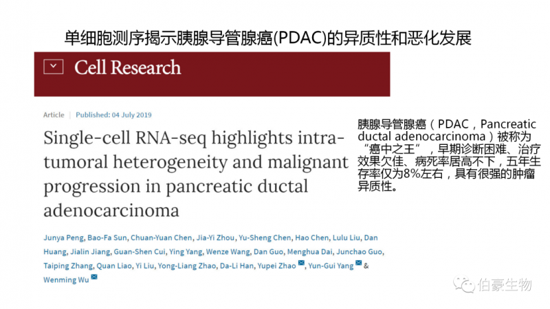 伯豪生物 單細胞測序 服務(wù)