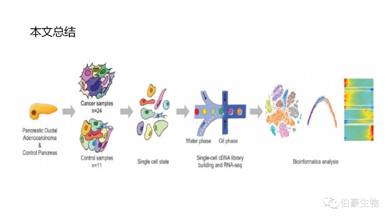 伯豪生物單細胞測序客戶發(fā)文 5