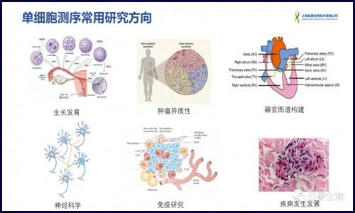 單細(xì)胞測序的熱點(diǎn)及案例解讀