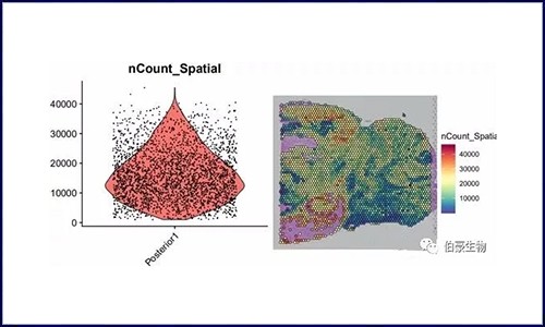 空間轉(zhuǎn)錄組 | 數(shù)據(jù)預(yù)處理、降維、聚類(lèi)（seurat）