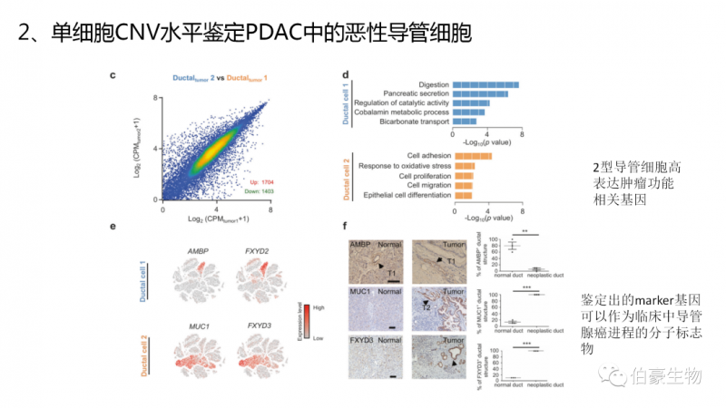 上海伯豪生物 單細胞測序技術(shù) 服務(wù)