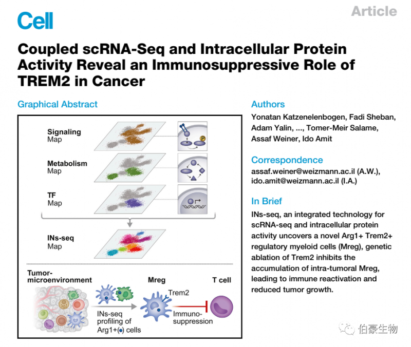 單細(xì)胞測序服務(wù)，高通量測序