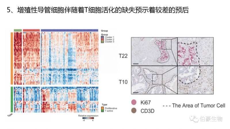 伯豪生物單細胞測序客戶發(fā)文 4