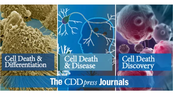 伯豪生物客戶轉(zhuǎn)錄組測(cè)序高分文章 3