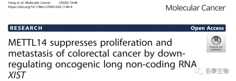 m6a 甲基化測序 伯豪生物甲基化服務(wù) 