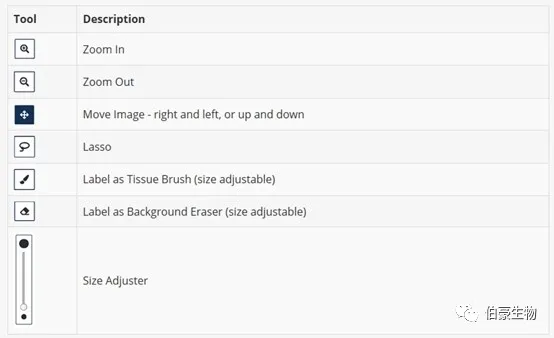  單細胞測序空間轉(zhuǎn)錄組分析軟件安裝圖示 9