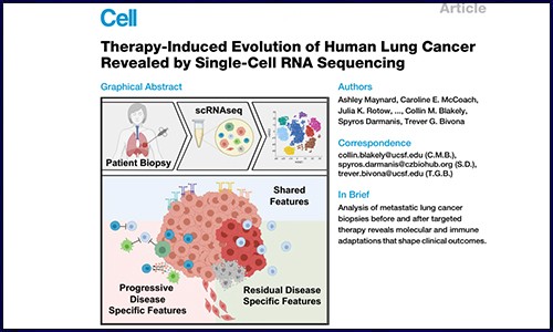 文獻(xiàn)錦集 | 8 月單細(xì)胞測(cè)序高分文獻(xiàn)匯總