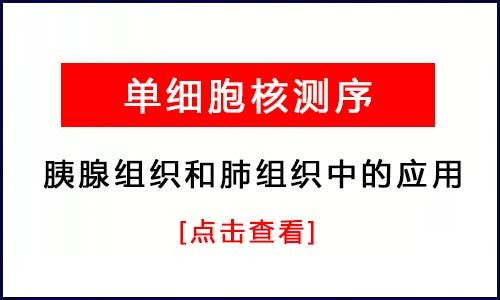 單細(xì)胞核測(cè)序 | 胰腺組織和肺組織中的應(yīng)用