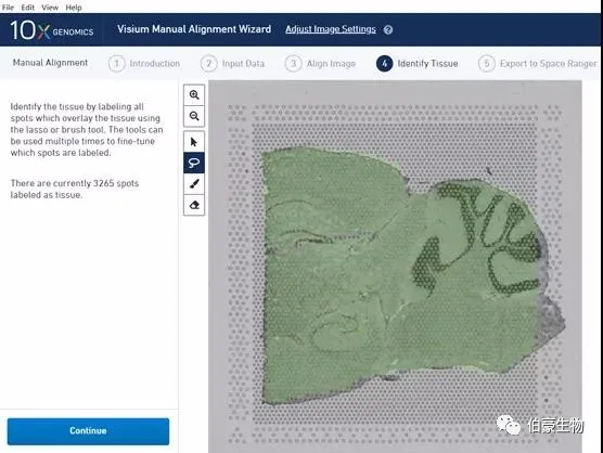  單細胞測序空間轉(zhuǎn)錄組分析軟件安裝圖示 12