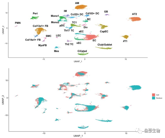 單細胞核測序 scRNA-seq 圖 3