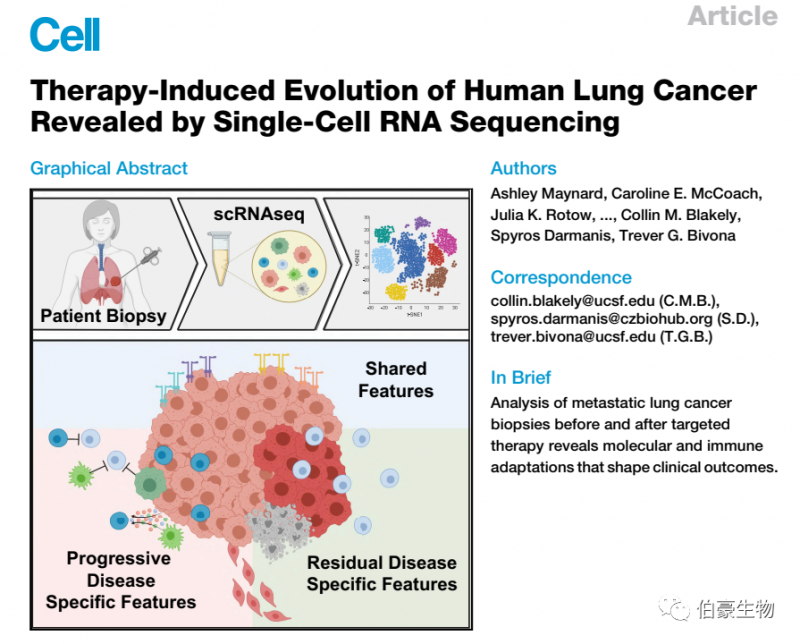 單細(xì)胞測序技術(shù)服務(wù)，高通量測序