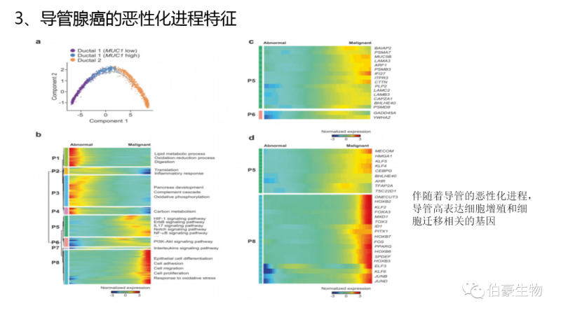 上海伯豪生物單細胞測序服務(wù)客戶文章