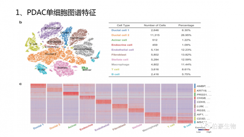 伯豪生物 單細胞測序 服務(wù)