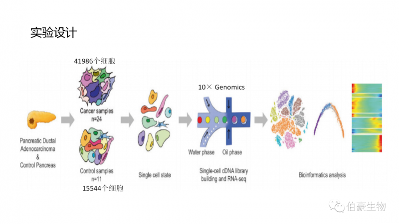 伯豪單細胞測序 服務(wù)