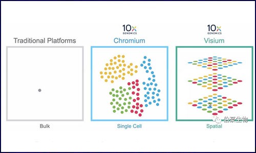 文獻(xiàn)解讀 | 空間轉(zhuǎn)錄組在神經(jīng)科學(xué)應(yīng)用的新思路