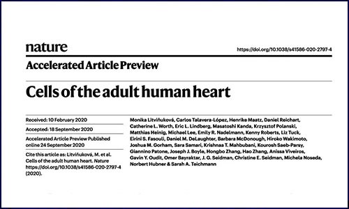 人類(lèi)細(xì)胞圖譜計(jì)劃 | 心臟細(xì)胞圖譜數(shù)據(jù)公布！