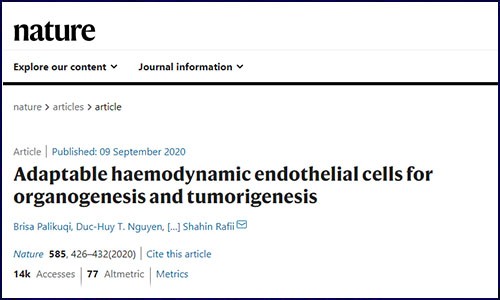 文獻(xiàn)錦集 | 9 月單細(xì)胞測(cè)序高分文獻(xiàn)匯總