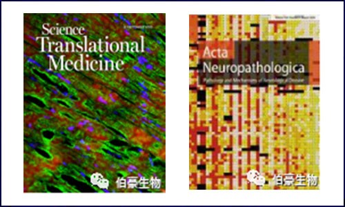 文獻(xiàn)集錦│9 月 DNA 甲基化研究新鮮速遞