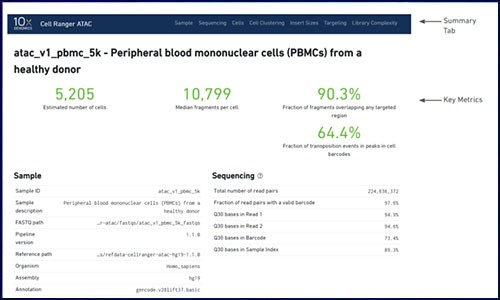 單細(xì)胞 ATAC 的 cellranger 質(zhì)控不會(huì)看？看這篇