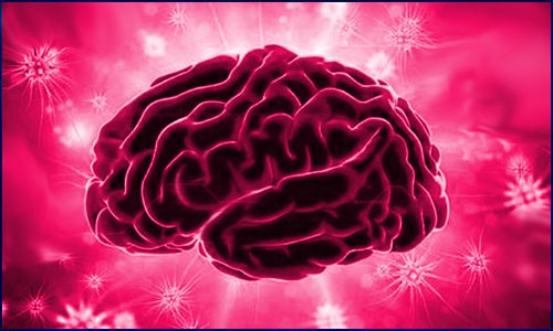 Nat. Genet. | 基于 ATAC-Seq、HiCHIP 數(shù)據(jù)構(gòu)建人類大腦表觀遺傳圖譜，揭示 AD/PD 遺傳風(fēng)險(xiǎn)位點(diǎn)