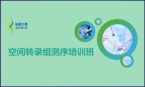 開班啦 | 伯豪生物空間轉(zhuǎn)錄組測(cè)序培訓(xùn)班