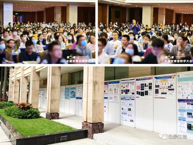 伯豪生物應(yīng)邀參展第五屆全國發(fā)育生物學(xué)大會 4