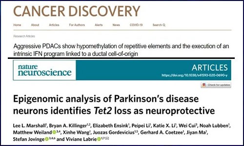 文獻(xiàn)集錦│10 月 DNA 甲基化研究新鮮速遞