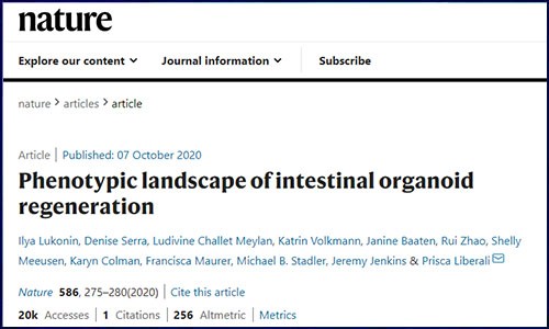 文獻(xiàn)錦集 | 10 月單細(xì)胞測(cè)序高分文獻(xiàn)匯總