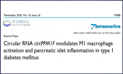 ceRNA 芯片 | circPPM1 調(diào)控一型糖尿病中 M1 型巨噬細(xì)胞激活及胰島炎癥反應(yīng)