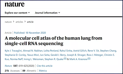 Nature | 基于單細(xì)胞 RNA 測(cè)序繪制人類肺組織分子細(xì)胞圖譜，成功鑒定多種未知細(xì)胞類型