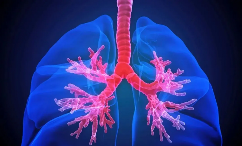 單細(xì)胞 RNA-seq 技術(shù)應(yīng)用于器官基因表達(dá)譜繪制