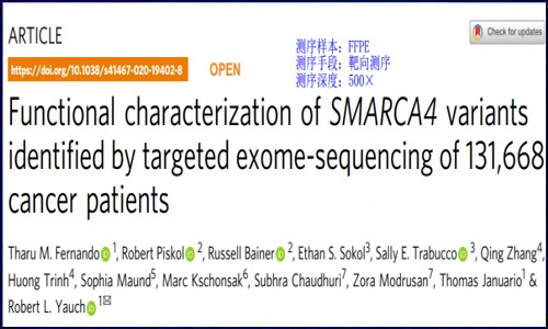 超高性價(jià)比的基因測(cè)序來了‖超萬例腫瘤研究