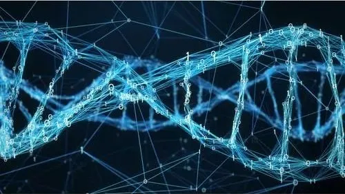 伯豪生物單細(xì)胞測(cè)序技術(shù)服務(wù)