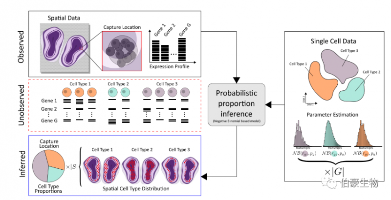 空間轉錄組學技術
