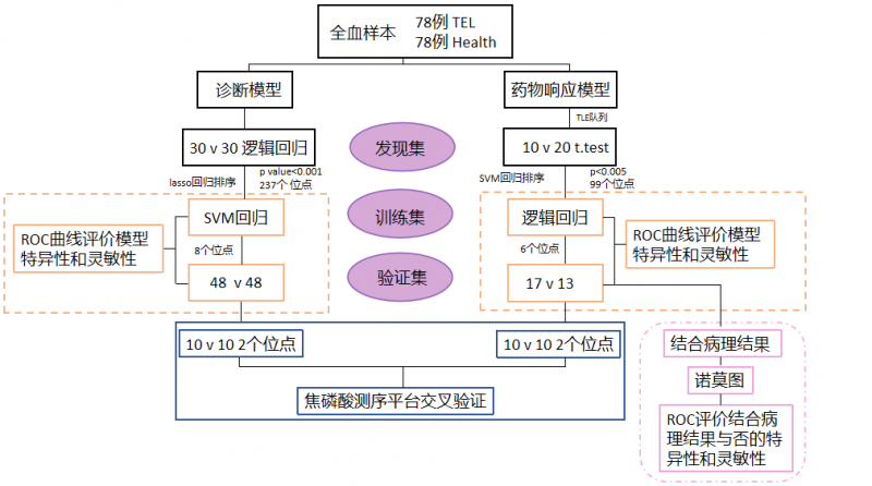 甲基化標志物研究路線