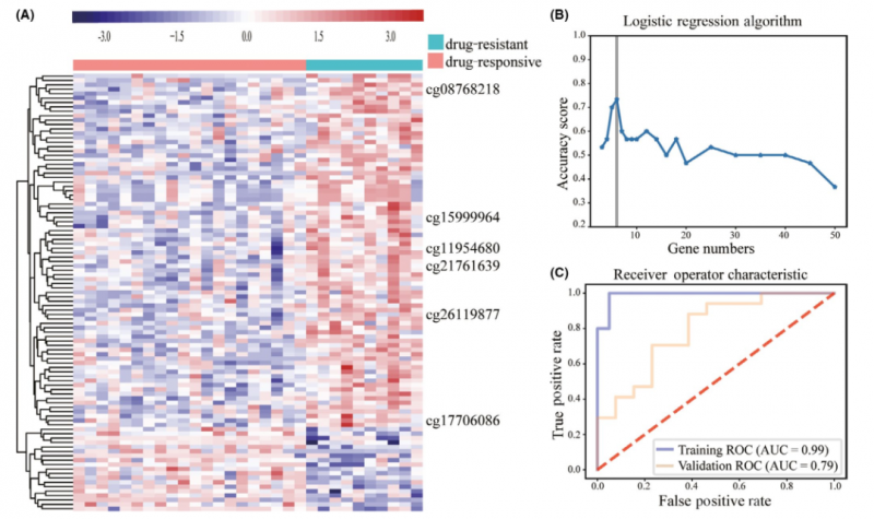  甲基化標志物研究結(jié)果 3