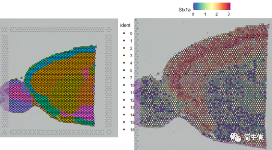 單獨(dú)繪制某個(gè)樣本圖