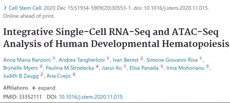  伯豪生物單細(xì)胞測(cè)序技術(shù)服務(wù) 