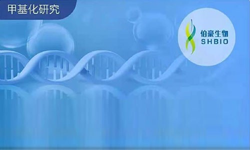 2020 年 DNA 甲基化高分文獻(xiàn)盤點(diǎn)