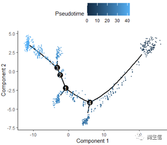 繪制分化時(shí)間