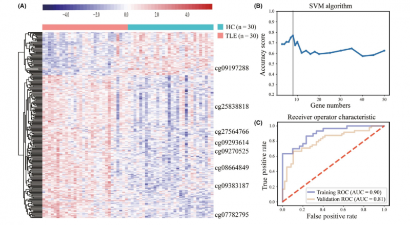  甲基化標志物研究結(jié)果 2