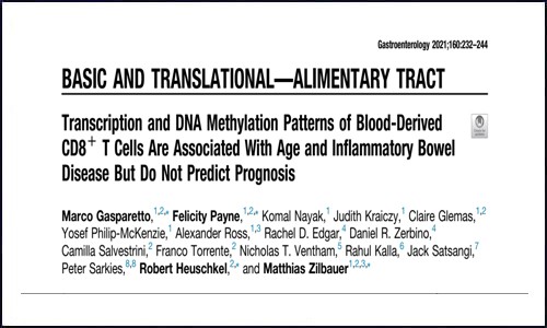 文獻集錦│2021 年 1 月 DNA 甲基化研究成果回顧