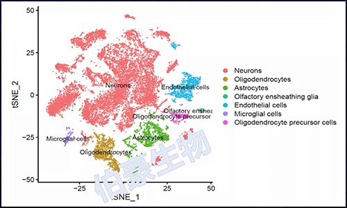 單細胞核測序 | 干貨測數(shù)據(jù)大放送！