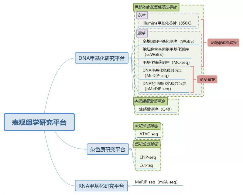 伯豪生物 DNA 甲基化研究的優(yōu)勢