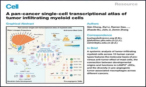 文獻(xiàn)錦集 | 2021 年 2 月單細(xì)胞測序高分文獻(xiàn)匯總