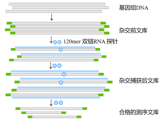 微信圖片_20210323164633
