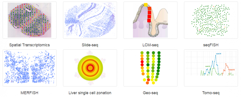 常見空間轉(zhuǎn)錄組技術(shù)